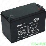 进口奥迪  蓄电池 